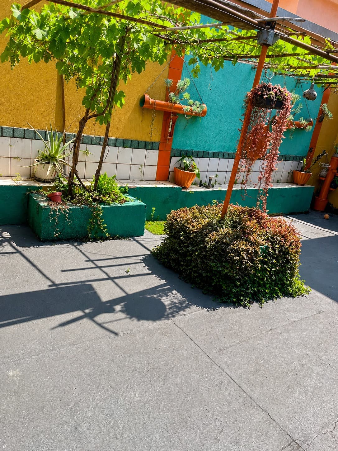 Espaço físico da Pet's House em Belo Horizonte