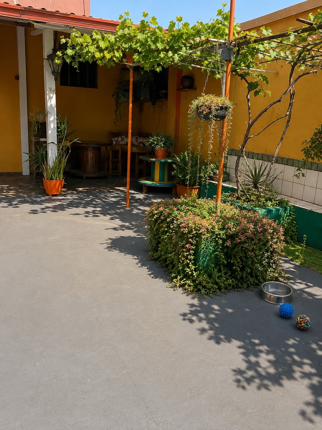 Espaço físico da Pet's House em Belo Horizonte